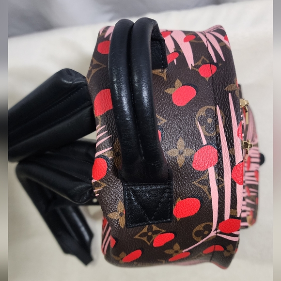 Louis Vuitton Limited Edition Palm Springs Jungle Dot Backpack. - Picture 3 of 15